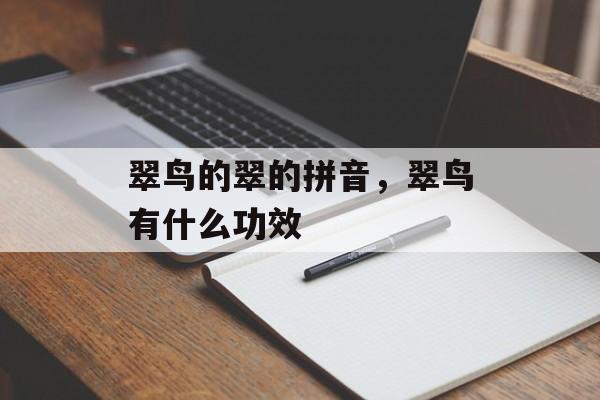 翠鸟的翠的拼音，翠鸟有什么功效-第1张图片-