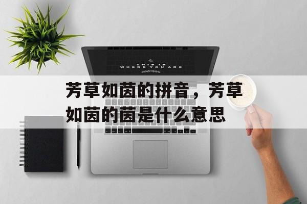 芳草如茵的拼音，芳草如茵的茵是什么意思-第1张图片-