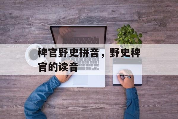 稗官野史拼音，野史稗官的读音-第1张图片-