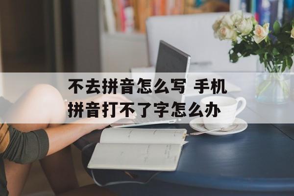 不去拼音怎么写 手机拼音打不了字怎么办-第1张图片-