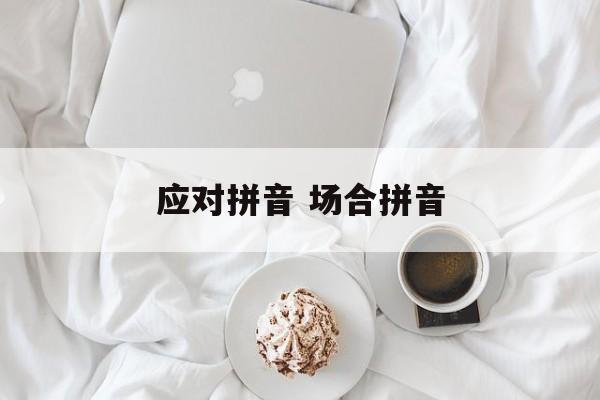 应对拼音 场合拼音-第1张图片-