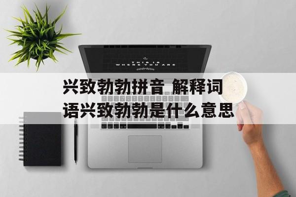 兴致勃勃拼音 解释词语兴致勃勃是什么意思-第1张图片-