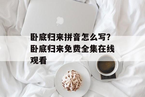 卧底归来拼音怎么写？卧底归来免费全集在线观看-第1张图片-