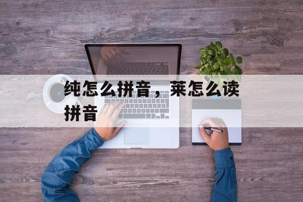 纯怎么拼音，莱怎么读拼音-第1张图片-