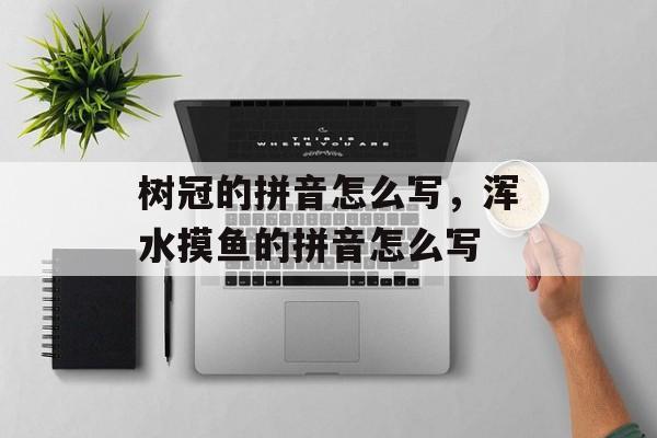 树冠的拼音怎么写，浑水摸鱼的拼音怎么写-第1张图片-