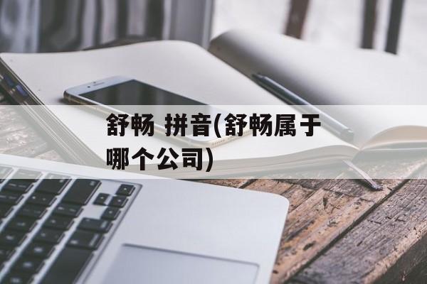 舒畅 拼音(舒畅属于哪个公司)-第1张图片-