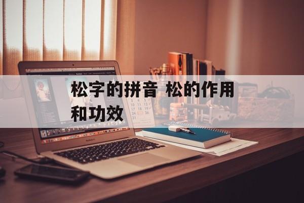 松字的拼音 松的作用和功效-第1张图片-