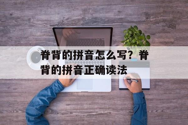 脊背的拼音怎么写？脊背的拼音正确读法-第1张图片-