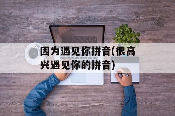 因为遇见你拼音(很高兴遇见你的拼音)-第1张图片-