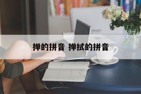掸的拼音 掸拭的拼音-第1张图片-