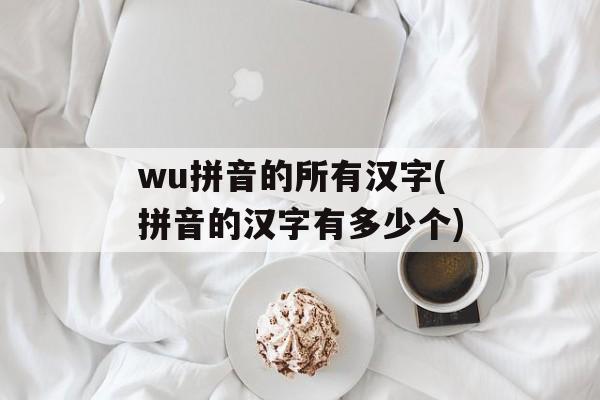 wu拼音的所有汉字(拼音的汉字有多少个)-第1张图片-
