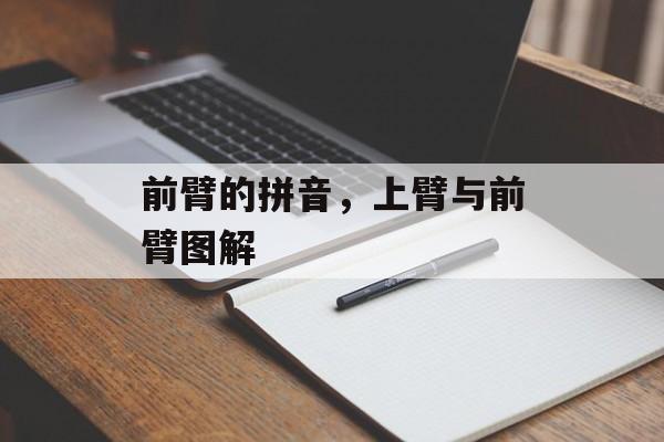 前臂的拼音，上臂与前臂图解-第1张图片-
