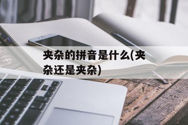 夹杂的拼音是什么(夹杂还是夹杂)-第1张图片-