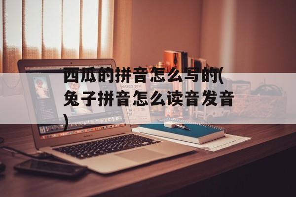 西瓜的拼音怎么写的(兔子拼音怎么读音发音)-第1张图片-