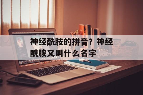 神经酰胺的拼音？神经酰胺又叫什么名字-第1张图片-