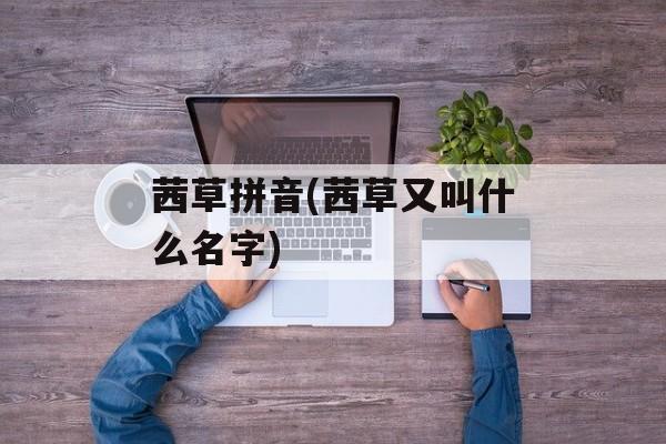 茜草拼音(茜草又叫什么名字)-第1张图片-