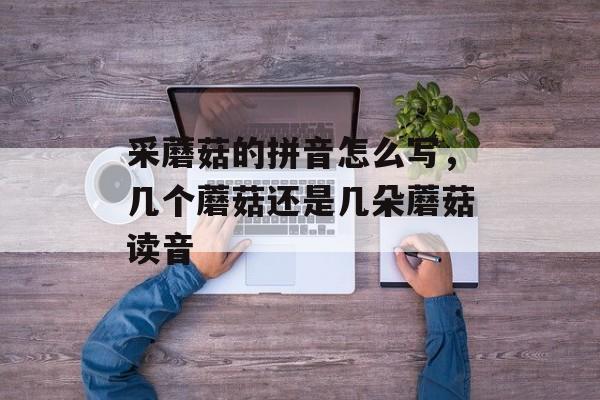 采蘑菇的拼音怎么写，几个蘑菇还是几朵蘑菇读音-第1张图片-