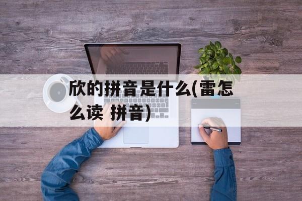 欣的拼音是什么(雷怎么读 拼音)-第1张图片-