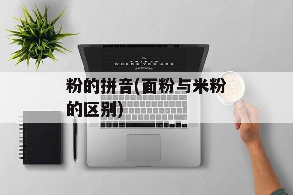 粉的拼音(面粉与米粉的区别)-第1张图片-