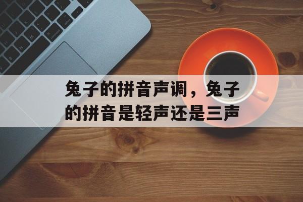 兔子的拼音声调，兔子的拼音是轻声还是三声-第1张图片-