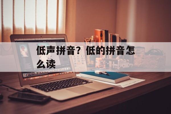 低声拼音？低的拼音怎么读-第1张图片-