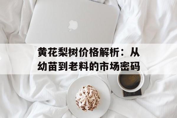 黄花梨树价格解析：从幼苗到老料的市场密码-第1张图片-